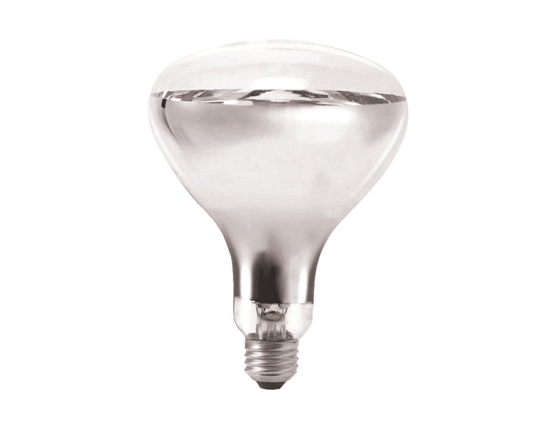 4 x R125 Bathroom Instant Heat Lamp Globe 240V E27 275W Clear Infrared Reflector
