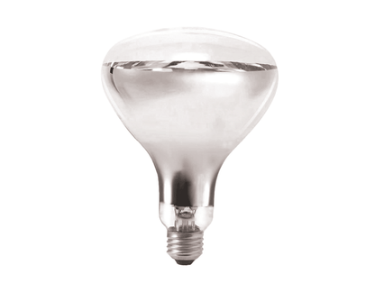 4 x R125 Bathroom Instant Heat Lamp Globe 240V E27 275W Clear Infrared Reflector