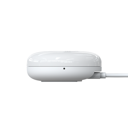 Electricity Advisor (Livelink) | Emerald Planet - EEMS-EA-LL