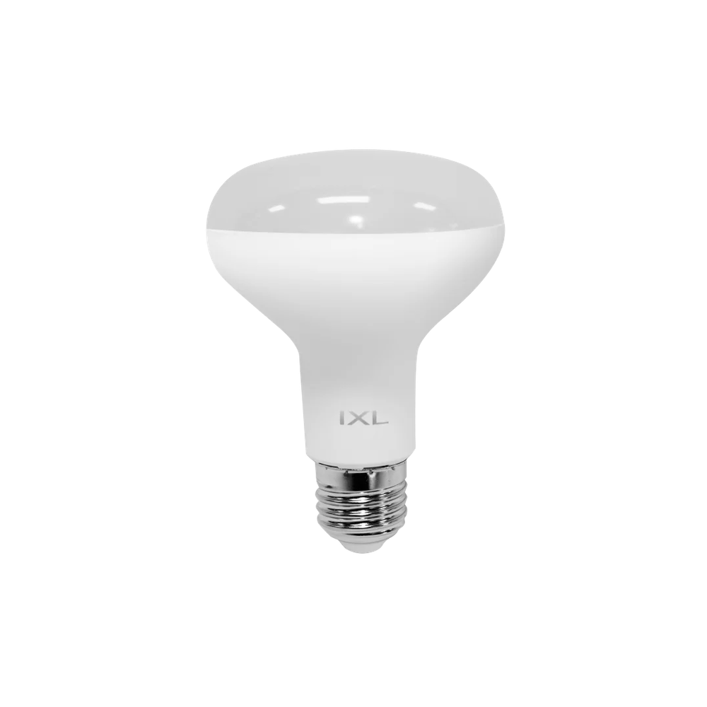 IXL 12281 Tastic LED R80 Centre Globe E27