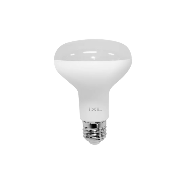 IXL 12281 Tastic LED R80 Centre Globe E27
